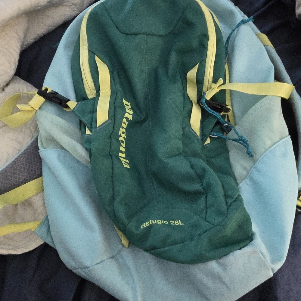 Patagonia Refugio 28L Backpack - Teal & Light Blue